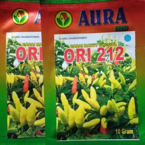 Bibit Cabe Ori 212